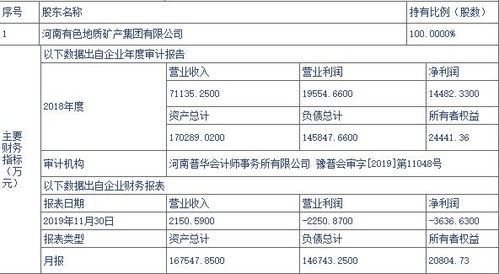 河南地礦科技產(chǎn)業(yè)園24%股權(quán)及技術(shù)轉(zhuǎn)讓項(xiàng)目掛牌 轉(zhuǎn)讓價(jià)格達(dá)2.03億元